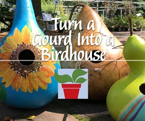 Turn a Gourd into a Birdhouse
